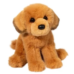 Sale August Golden Retriever Dogs