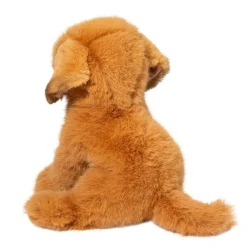 Sale August Golden Retriever Dogs