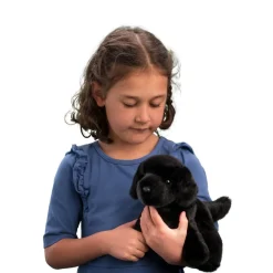 Clearance Bear Black Lab Dogs