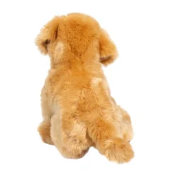 Best Bella Golden Retriever Dogs