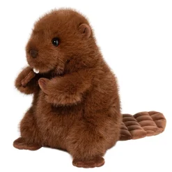 New Bev Beaver Wildlife