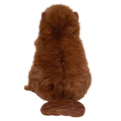 New Bev Beaver Wildlife