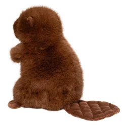 New Bev Beaver Wildlife