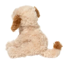 Clearance Biscuit Cavapoo Dogs