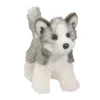 Best Blaze Husky Dogs