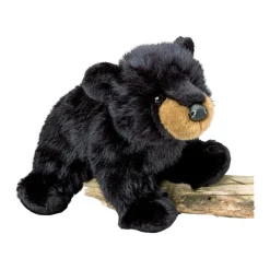 Online Boulder Black Bear Wildlife