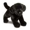 Best Brewster Black Lab Dogs