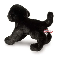 Best Brewster Black Lab Dogs