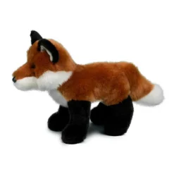 Outlet Bushy Red Fox Wildlife