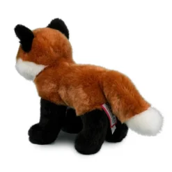 Outlet Bushy Red Fox Wildlife