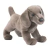 New Cassie Weimaraner Dogs