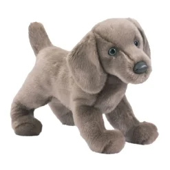 New Cassie Weimaraner Dogs