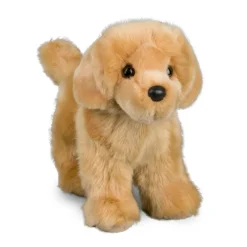 Sale Chap Golden Retriever Dogs