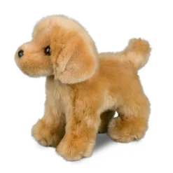 Sale Chap Golden Retriever Dogs