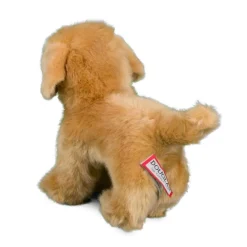 Sale Chap Golden Retriever Dogs