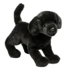 Online Chester Black Lab Dogs