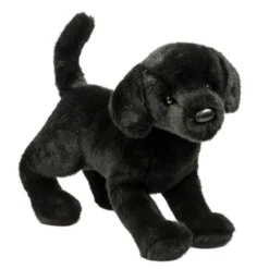Online Chester Black Lab Dogs