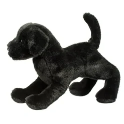 Online Chester Black Lab Dogs