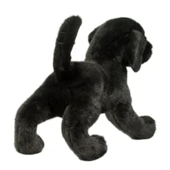 Online Chester Black Lab Dogs