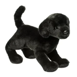Online Chester Black Lab Dogs