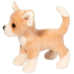 New Chichi Chihuahua Dogs