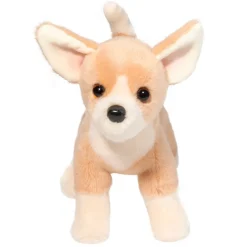 New Chichi Chihuahua Dogs