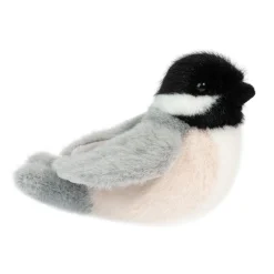 Best Chipper Chickadee Wildlife