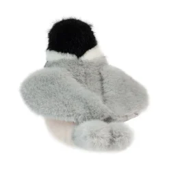 Best Chipper Chickadee Wildlife