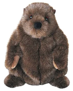 Sale Chuckwood Groundhog Wildlife