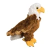 Fashion Colbert Eagle Wildlife