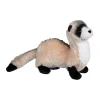 Best Dapper Ferret Wildlife