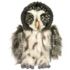Outlet Darius Great Gray Owl Wildlife