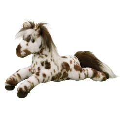Online Duke Appaloosa Horse Farm