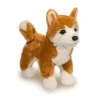 Hot Dunham Shiba Inu Dogs