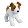 Best Feisty Jack Russel Terrier Dogs