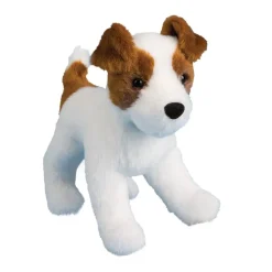 Best Feisty Jack Russel Terrier Dogs