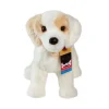 Best Gemma Cream Lab Mix Rescue Pup Dogs