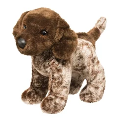 Best Ivan German Pointer Dogs