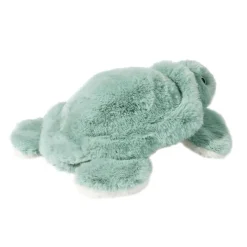 Best Jade Sea Turtle Sea Life