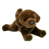 Sale Java Chocolate Lab Dogs