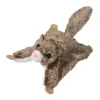 Sale Jumper Flying Squirrel Wildlife