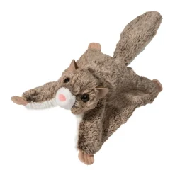 Sale Jumper Flying Squirrel Wildlife