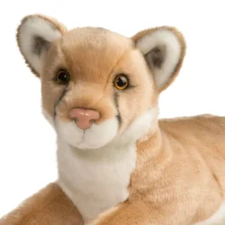 Outlet Kelso Mountain Lion Wildlife