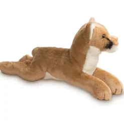 Outlet Kelso Mountain Lion Wildlife