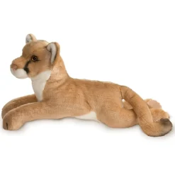 Outlet Kelso Mountain Lion Wildlife