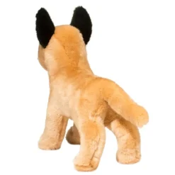 Best Klaus Belgian Malinois Dogs
