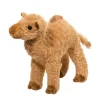 Hot Lawrence Camel Wildlife