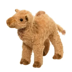 Hot Lawrence Camel Wildlife