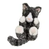 Best Lil' Baby Black & White Kitten Cats