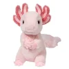 Sale Luisa Axolotl Wildlife